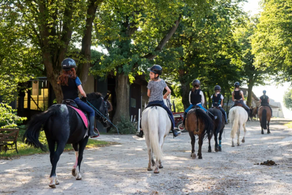 Kinder reiten über den baumbestandenen Gutsweg