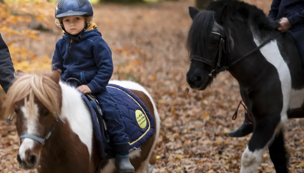 Ponyreiten auf Gut Waitzrodt